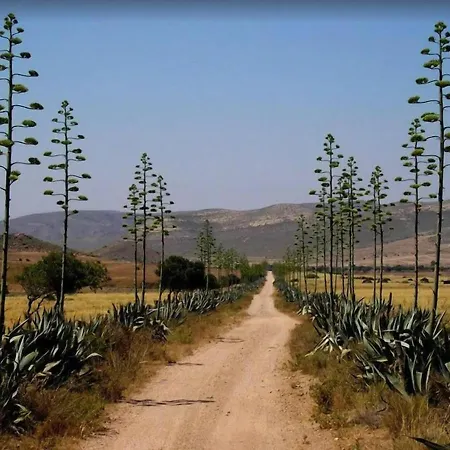 Villa Casa El Olivo *